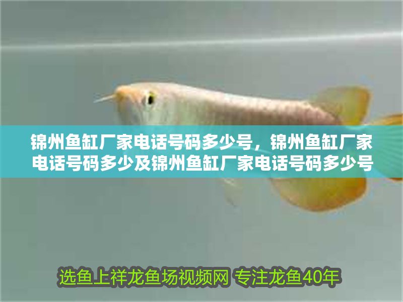 錦州魚缸廠家電話號(hào)碼多少號(hào)，錦州魚缸廠家電話號(hào)碼多少及錦州魚缸廠家電話號(hào)碼多少號(hào)摘要 錦州魚缸廠家電話號(hào)碼多少號(hào)，錦州魚缸廠家電話號(hào)碼多少及錦州魚缸廠家電話號(hào)碼多少號(hào)摘要 元寶鳳凰魚百科 第1張