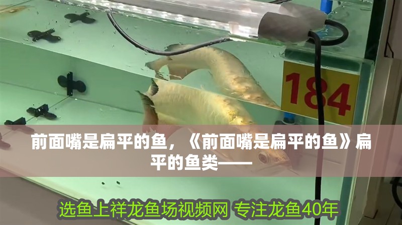 前面嘴是扁平的魚，《前面嘴是扁平的魚》扁平的魚類—— 前面嘴是扁平的魚，《前面嘴是扁平的魚》扁平的魚類—— 龍魚論壇