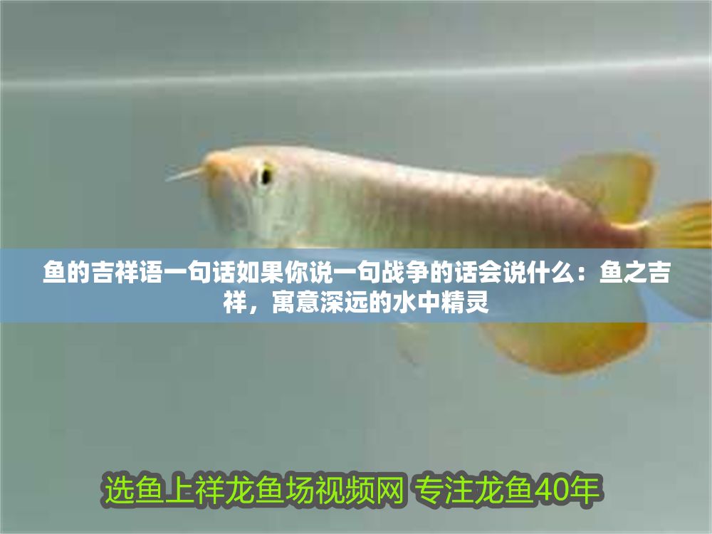 魚的吉祥語一句話如果你說一句戰爭的話會說什么：魚之吉祥，寓意深遠的水中精靈