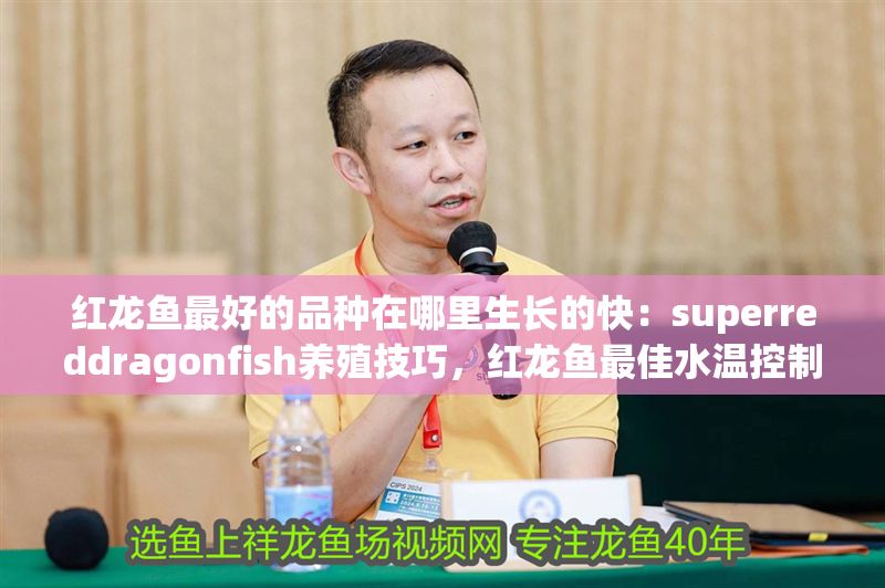 紅龍魚最好的品種在哪里生長的快：superreddragonfish養(yǎng)殖技巧，紅龍魚最佳水溫控制方法 紅龍魚最好的品種在哪里生長的快：superreddragonfish養(yǎng)殖技巧，紅龍魚最佳水溫控制方法 紅龍魚百科 第1張