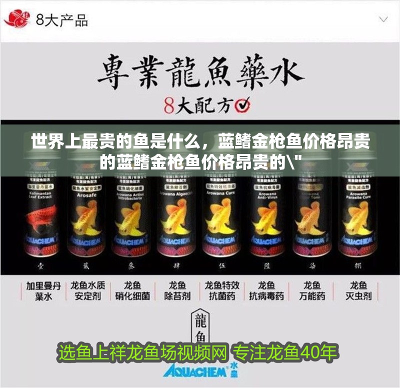 世界上最貴的魚是什么，藍鰭金槍魚價格昂貴的藍鰭金槍魚價格昂貴的\