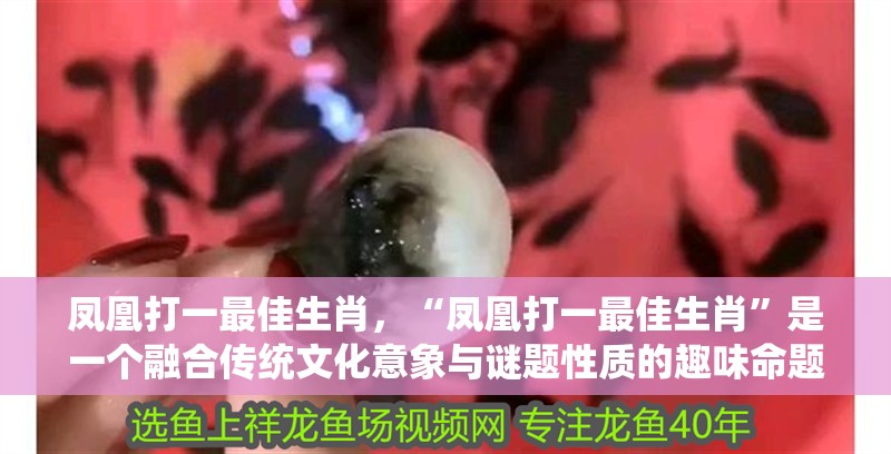 鳳凰打一最佳生肖，“鳳凰打一最佳生肖”是一個融合傳統(tǒng)文化意象與謎題性質(zhì)的趣味命題 鳳凰打一最佳生肖，“鳳凰打一最佳生肖”是一個融合傳統(tǒng)文化意象與謎題性質(zhì)的趣味命題 龍魚論壇