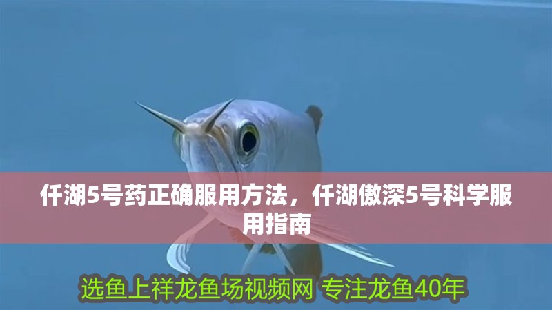 仟湖5號藥正確服用方法，仟湖傲深5號科學(xué)服用指南