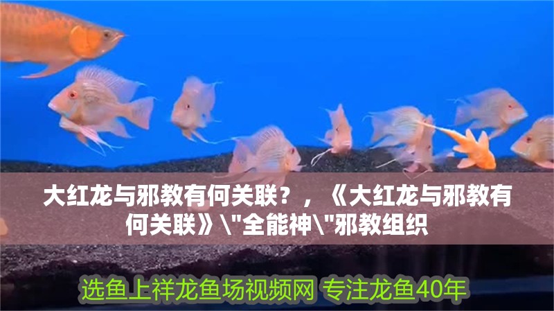 大紅龍與邪教有何關聯？，《大紅龍與邪教有何關聯》\