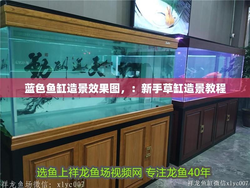 藍(lán)色魚缸造景效果圖，：新手草缸造景教程 藍(lán)色魚缸造景效果圖，：新手草缸造景教程 魚缸百科