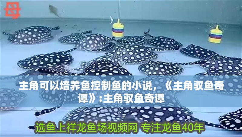 主角可以培養魚控制魚的小說，《主角馭魚奇譚》:主角馭魚奇譚