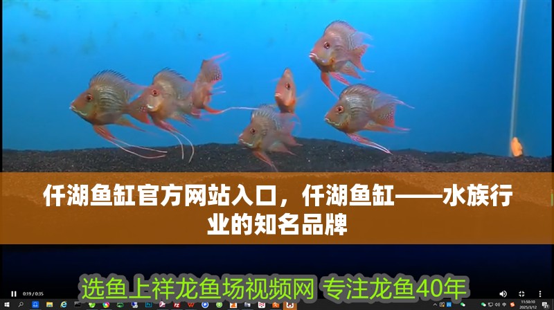 仟湖魚缸官方網站入口，仟湖魚缸——水族行業的知名品牌