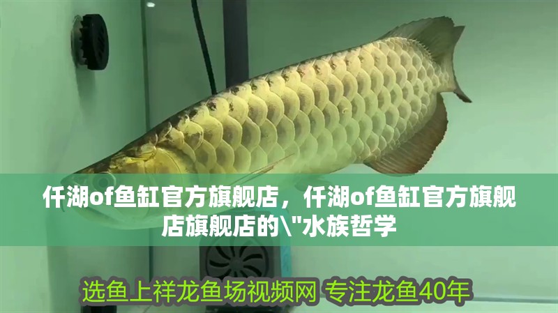 仟湖of魚缸官方旗艦店，仟湖of魚缸官方旗艦店旗艦店的\