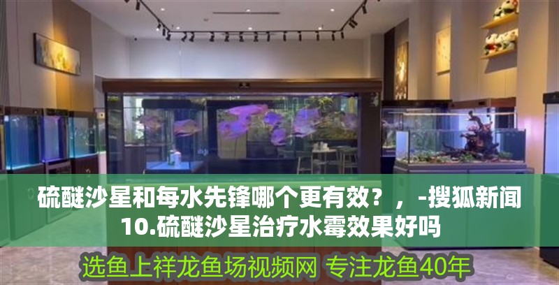 硫醚沙星和每水先鋒哪個更有效？，-搜狐新聞10.硫醚沙星治療水霉效果好嗎