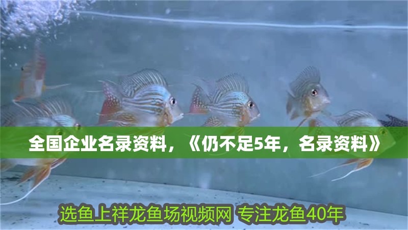 全國(guó)企業(yè)名錄資料，《仍不足5年，名錄資料》