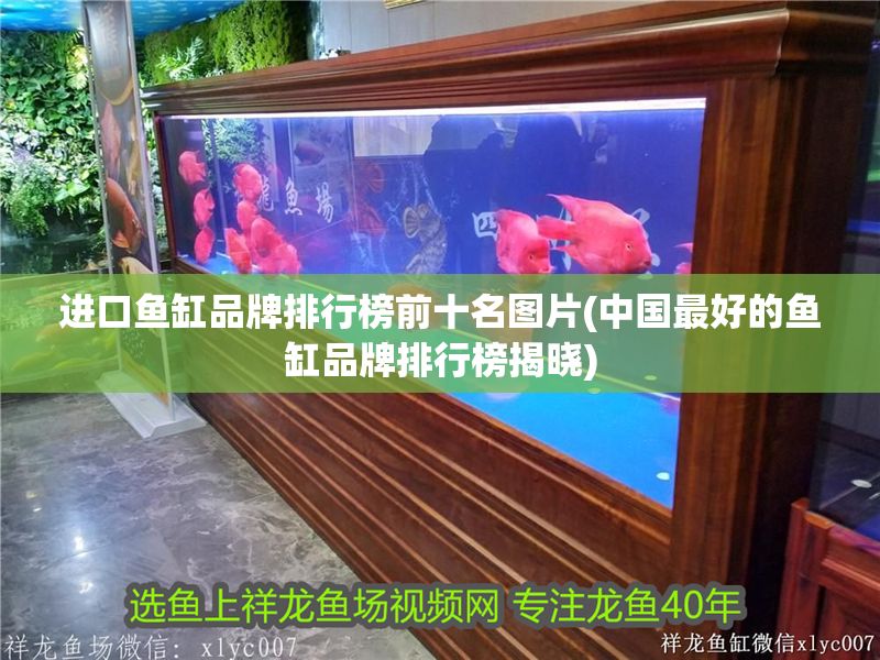 進口魚缸品牌排行榜前十名圖片(中國最好的魚缸品牌排行榜揭曉)