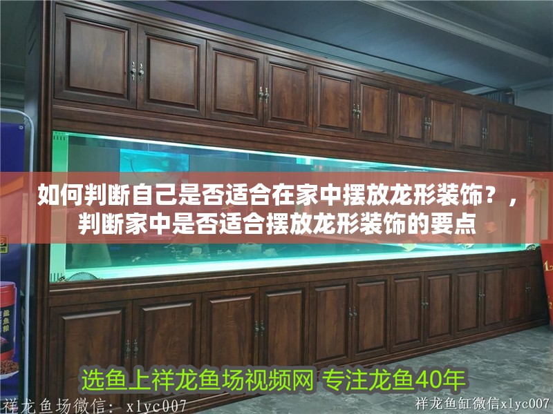 如何判斷自己是否適合在家中擺放龍形裝飾？，判斷家中是否適合擺放龍形裝飾的要點