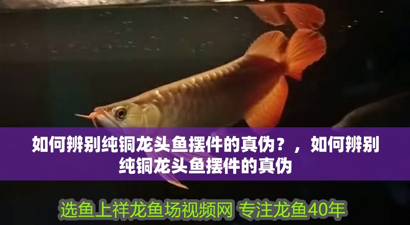 如何辨別純銅龍頭魚擺件的真偽？，如何辨別純銅龍頭魚擺件的真偽 如何辨別純銅龍頭魚擺件的真偽？，如何辨別純銅龍頭魚擺件的真偽 龍魚論壇
