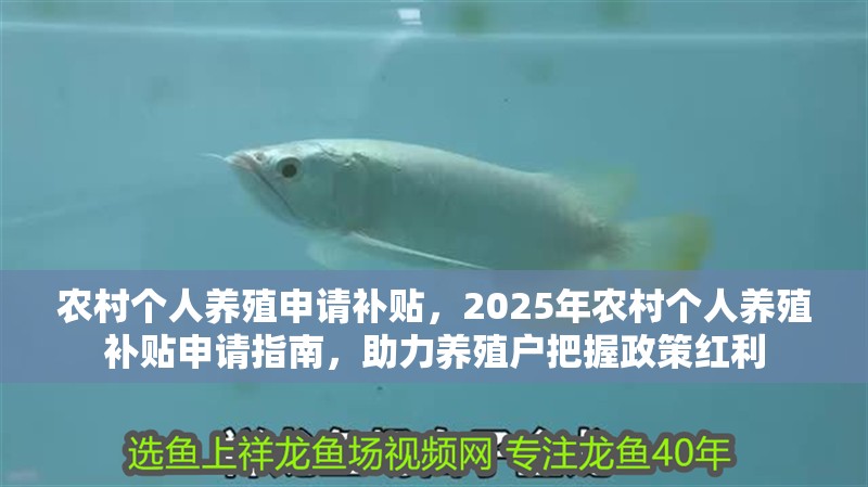 農(nóng)村個(gè)人養(yǎng)殖申請補(bǔ)貼，2025年農(nóng)村個(gè)人養(yǎng)殖補(bǔ)貼申請指南，助力養(yǎng)殖戶把握政策紅利