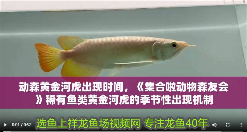 動森黃金河虎出現時間，《集合啦動物森友會》稀有魚類黃金河虎的季節性出現機制