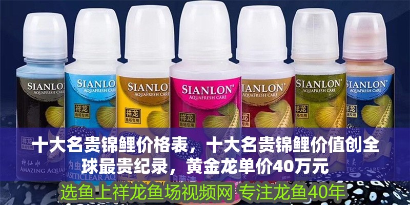 十大名貴錦鯉價格表，十大名貴錦鯉價值創(chuàng)全球最貴紀(jì)錄，黃金龍單價40萬元