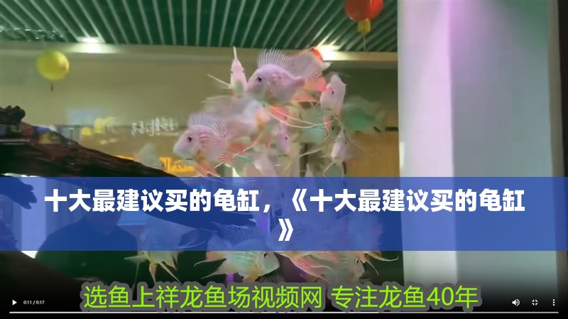 十大最建議買的龜缸，《十大最建議買的龜缸》