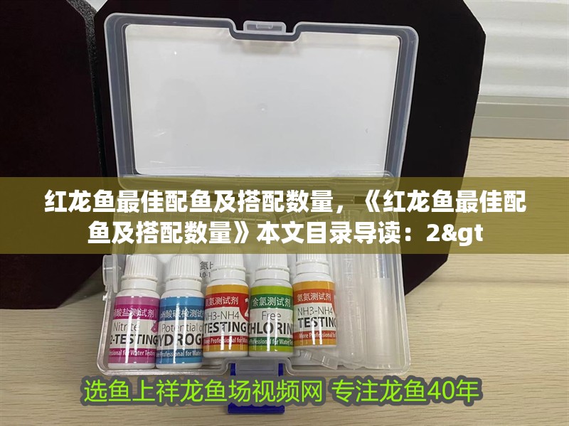 紅龍魚(yú)最佳配魚(yú)及搭配數(shù)量，《紅龍魚(yú)最佳配魚(yú)及搭配數(shù)量》本文目錄導(dǎo)讀：2&gt 紅龍魚(yú)最佳配魚(yú)及搭配數(shù)量，《紅龍魚(yú)最佳配魚(yú)及搭配數(shù)量》本文目錄導(dǎo)讀：2&gt 水族問(wèn)答