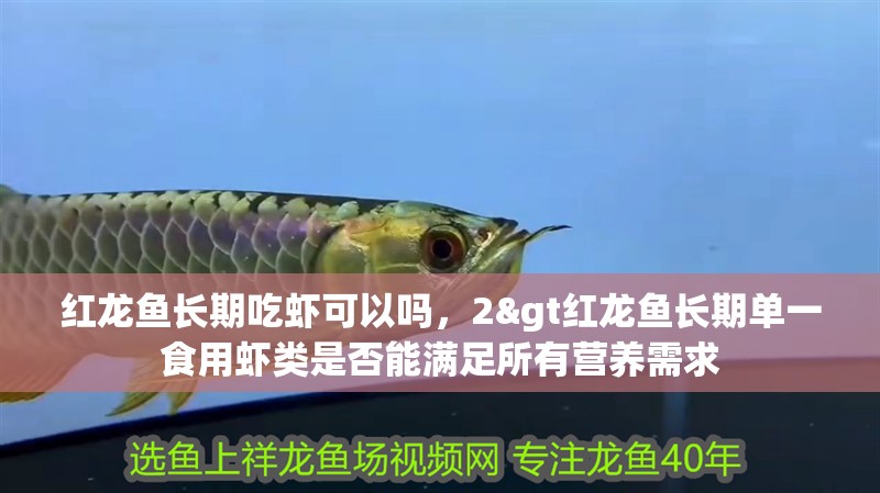 魚缸用增氧泵價格是多少:魚缸增氧機-xtrac增氧機-xtrac增氧機 紅龍魚長期吃蝦可以嗎,2>紅龍魚長期單一食用蝦類是否能滿足所有營養需求 水族問答 紅龍魚長期吃蝦可以嗎,2>紅龍魚長期單一食用蝦類是否能滿足所有營養需求 紅龍魚長期吃蝦可以嗎,2>紅龍魚長期單一食用蝦類是否能滿足所有營養需求 水族問答