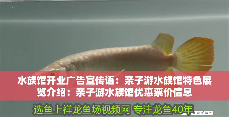 水族館開業(yè)廣告宣傳語：親子游水族館特色展覽介紹：親子游水族館優(yōu)惠票價信息
