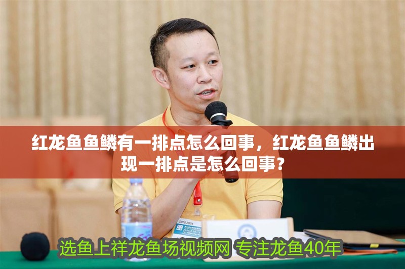 紅龍魚魚鱗有一排點怎么回事，紅龍魚魚鱗出現一排點是怎么回事？ 紅龍魚魚鱗有一排點怎么回事，紅龍魚魚鱗出現一排點是怎么回事？ 水族問答