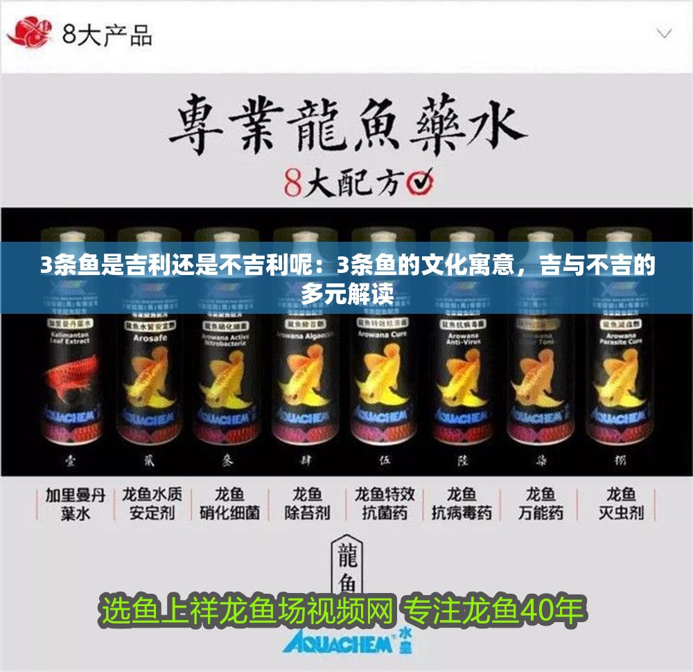 3條魚(yú)是吉利還是不吉利呢：3條魚(yú)的文化寓意，吉與不吉的多元解讀
