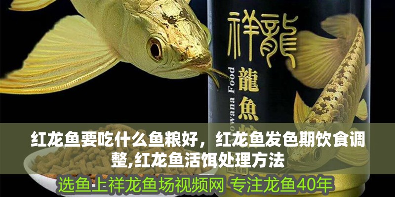 紅龍魚(yú)要吃什么魚(yú)糧好，紅龍魚(yú)發(fā)色期飲食調(diào)整,紅龍魚(yú)活餌處理方法