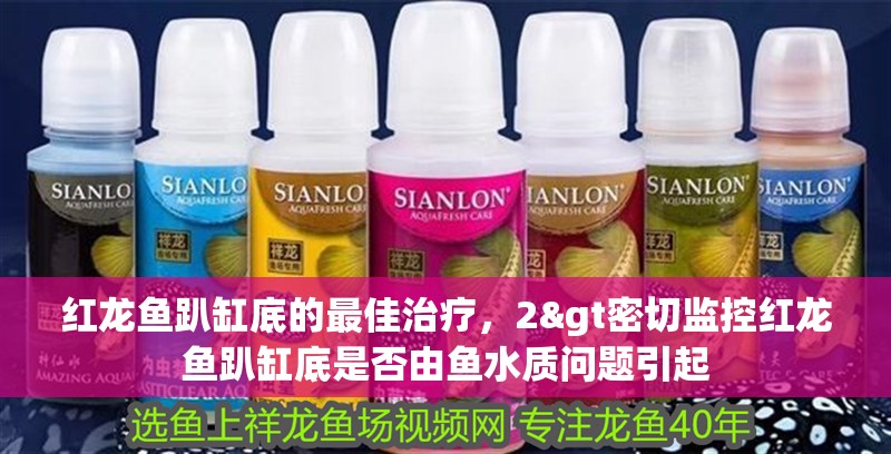 紅龍魚趴缸底的最佳治療，2&gt密切監(jiān)控紅龍魚趴缸底是否由魚水質(zhì)問題引起