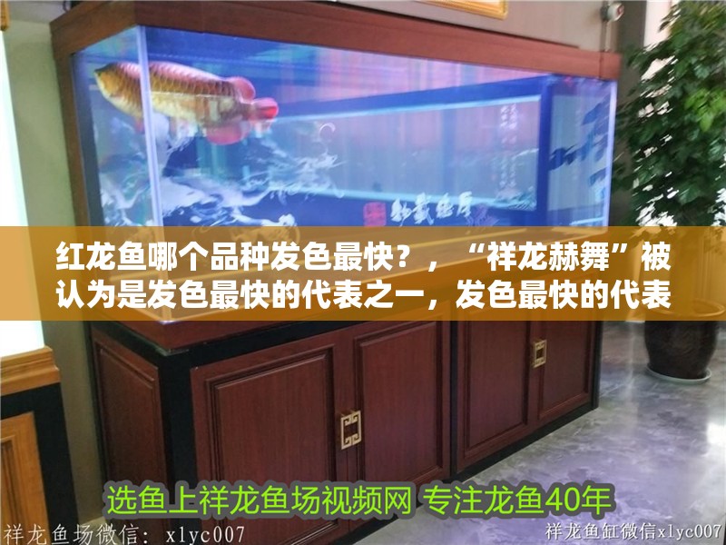 紅龍魚哪個品種發(fā)色最快？，“祥龍赫舞”被認為是發(fā)色最快的代表之一，發(fā)色最快的代表之一