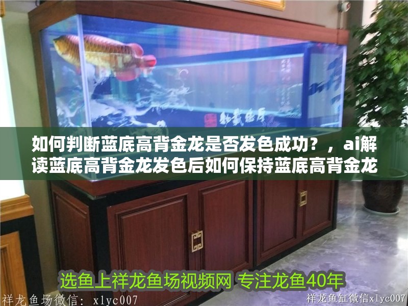 如何判斷藍底高背金龍是否發(fā)色成功？，ai解讀藍底高背金龍發(fā)色后如何保持藍底高背金龍發(fā)色