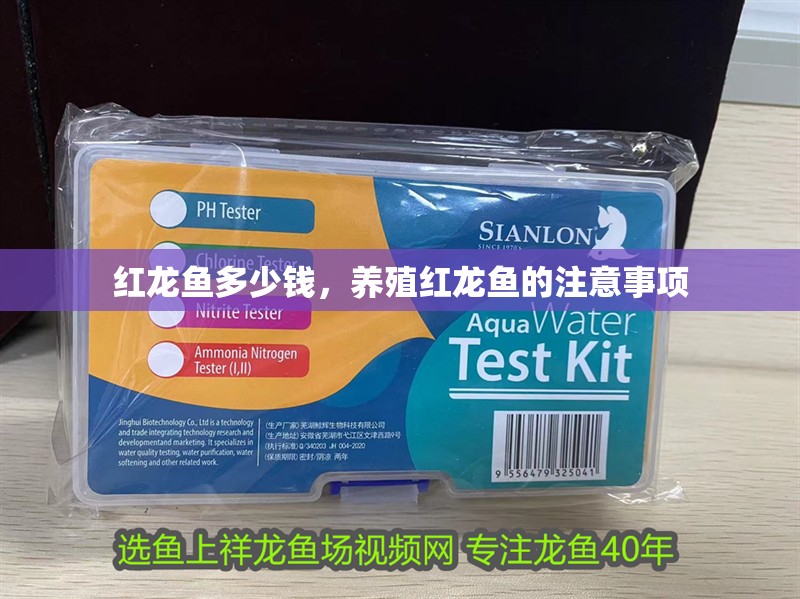 紅龍魚多少錢，養(yǎng)殖紅龍魚的注意事項(xiàng) 紅龍魚多少錢，養(yǎng)殖紅龍魚的注意事項(xiàng) 水族問答