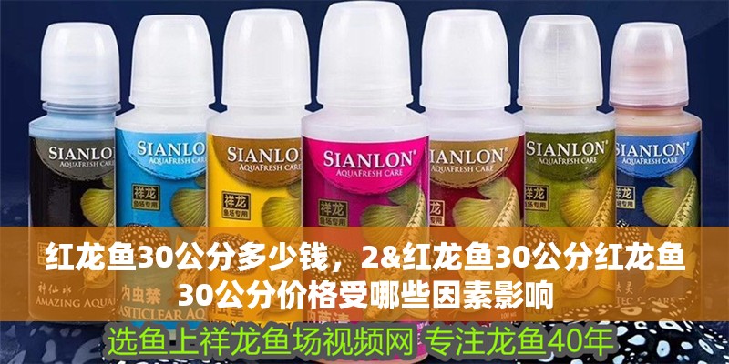 紅龍魚30公分多少錢，2&紅龍魚30公分紅龍魚30公分價格受哪些因素影響