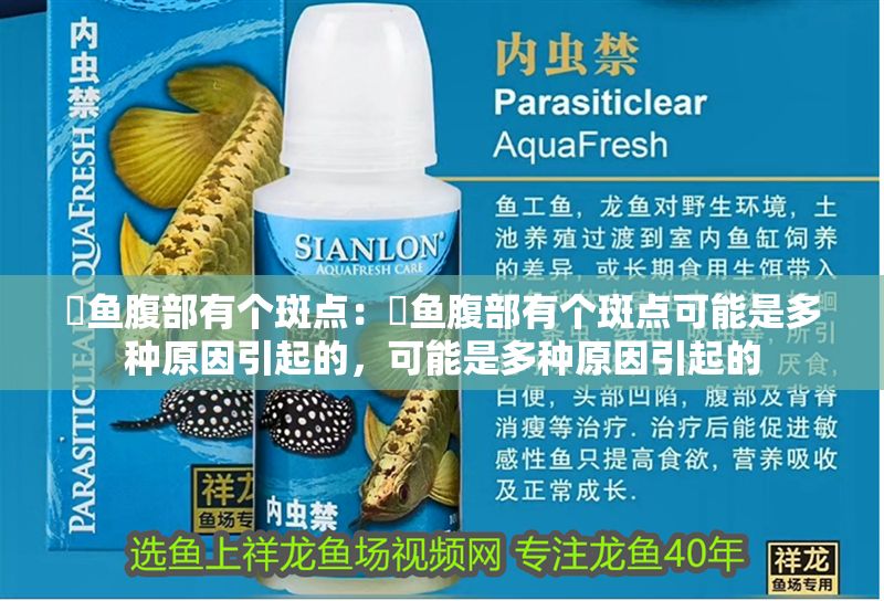 魟魚腹部有個斑點：魟魚腹部有個斑點可能是多種原因引起的，可能是多種原因引起的