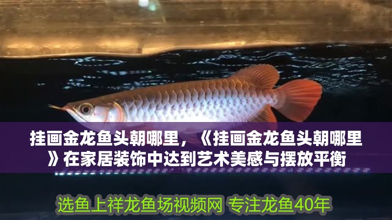 掛畫金龍魚頭朝哪里，《掛畫金龍魚頭朝哪里》在家居裝飾中達到藝術美感與擺放平衡 掛畫金龍魚頭朝哪里，《掛畫金龍魚頭朝哪里》在家居裝飾中達到藝術美感與擺放平衡 水族問答
