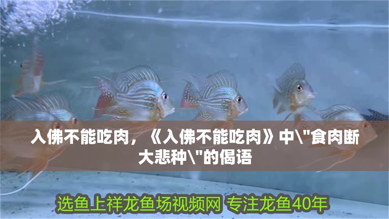 入佛不能吃肉，《入佛不能吃肉》中\