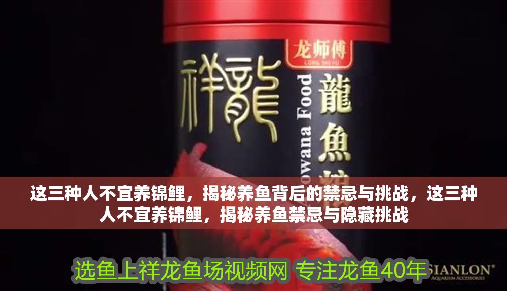 這三種人不宜養錦鯉，揭秘養魚背后的禁忌與挑戰，這三種人不宜養錦鯉，揭秘養魚禁忌與隱藏挑戰