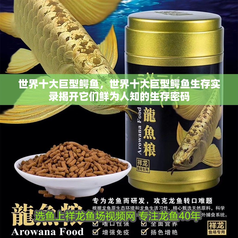 世界十大巨型鱷魚，世界十大巨型鱷魚生存實錄揭開它們鮮為人知的生存密碼