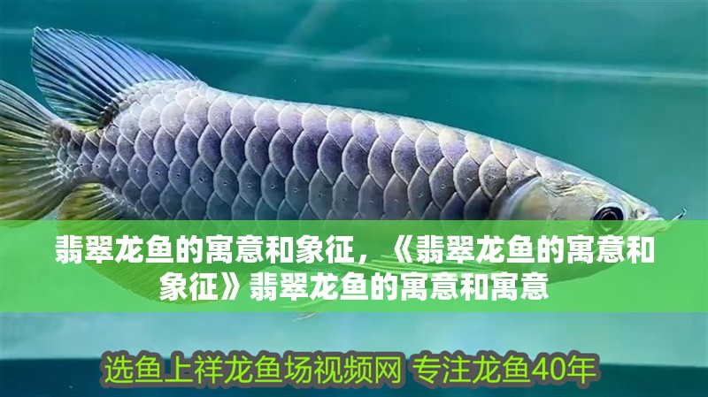 翡翠龍魚的寓意和象征，《翡翠龍魚的寓意和象征》翡翠龍魚的寓意和寓意