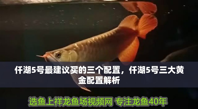 仟湖5號最建議買的三個配置，仟湖5號三大黃金配置解析