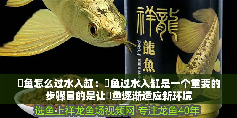 魟魚怎么過水入缸：魟魚過水入缸是一個重要的步驟目的是讓魟魚逐漸適應(yīng)新環(huán)境