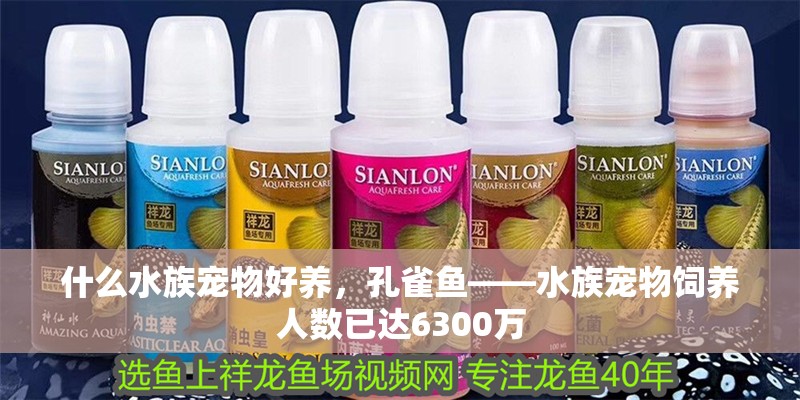 什么水族寵物好養，孔雀魚——水族寵物飼養人數已達6300萬 什么水族寵物好養，孔雀魚——水族寵物飼養人數已達6300萬 龍魚論壇