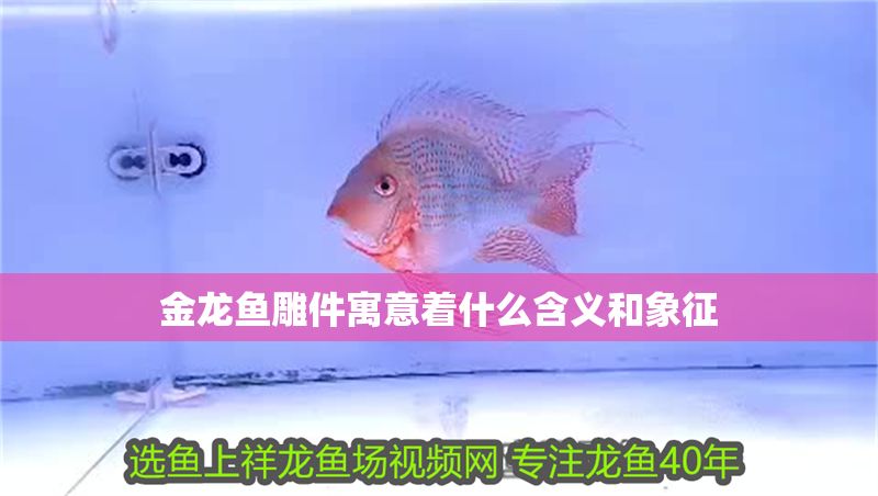 金龍魚雕件寓意著什么含義和象征