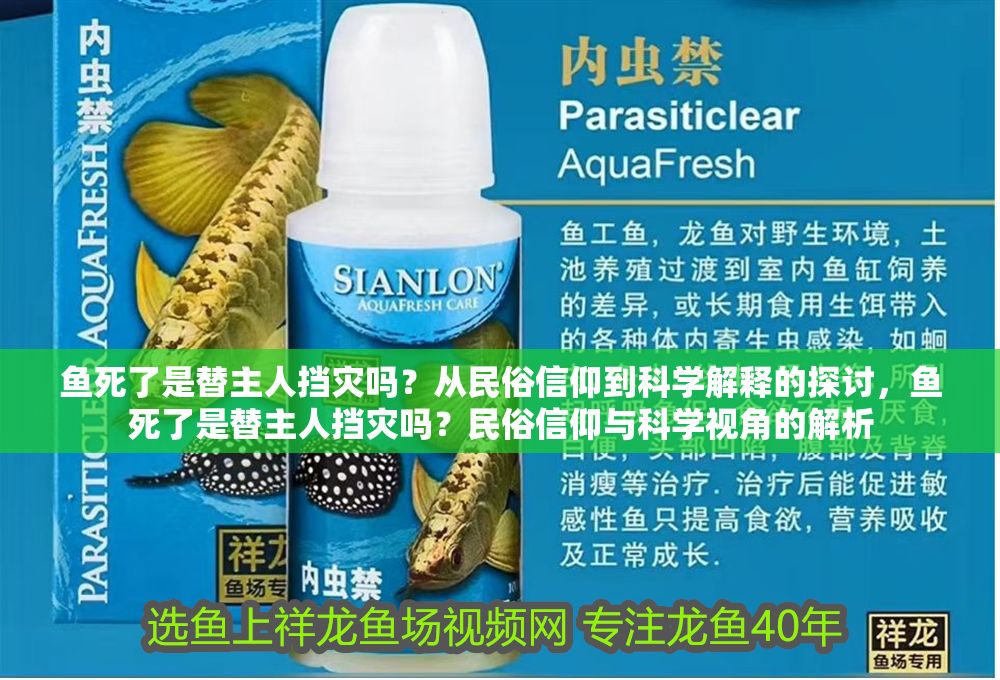 詳細閱讀:魚死了是替主人擋災嗎?從民俗信仰到科學解釋的探討,魚死了是替主人擋災嗎?民俗信仰與科學視角的解析 魚死了是替主人擋災嗎?從民俗信仰到科學解釋的探討,魚死了是替主人擋災嗎?民俗信仰與科學視角的解析