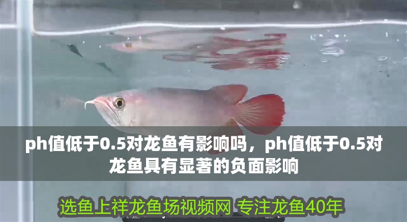 ph值低于0.5對龍魚有影響嗎，ph值低于0.5對龍魚具有顯著的負面影響