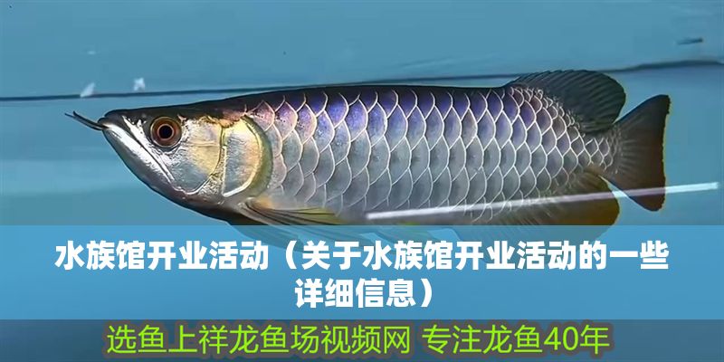 水族館開業(yè)活動（關于水族館開業(yè)活動的一些詳細信息）