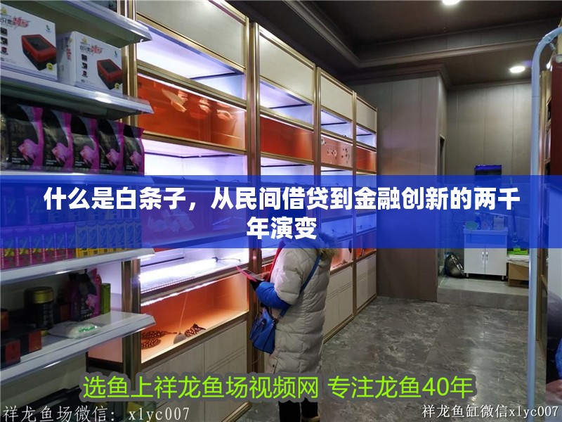 什么是白條子，從民間借貸到金融創新的兩千年演變