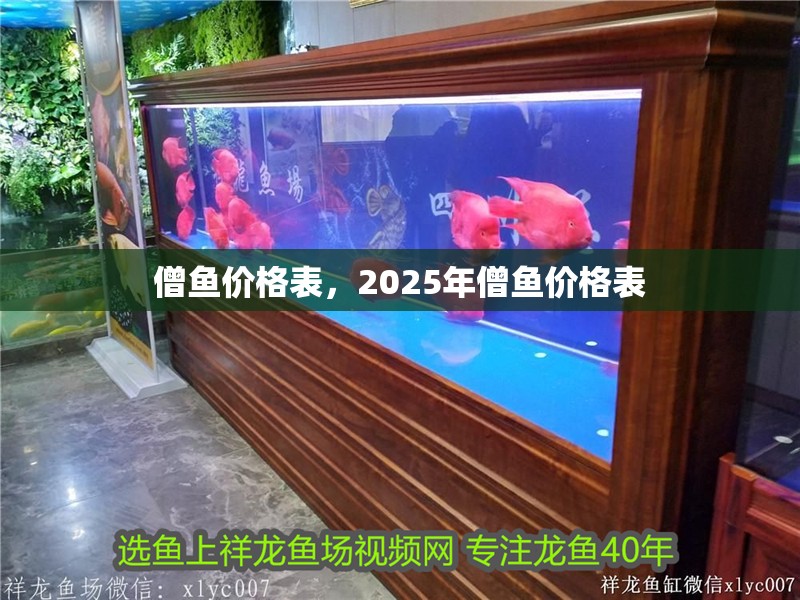 僧魚價(jià)格表，2025年僧魚價(jià)格表