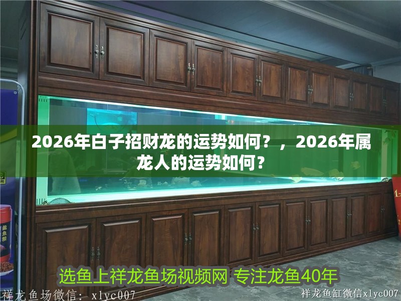 2026年白子招財龍的運勢如何？，2026年屬龍人的運勢如何？ 2026年白子招財龍的運勢如何？，2026年屬龍人的運勢如何？ 龍魚論壇