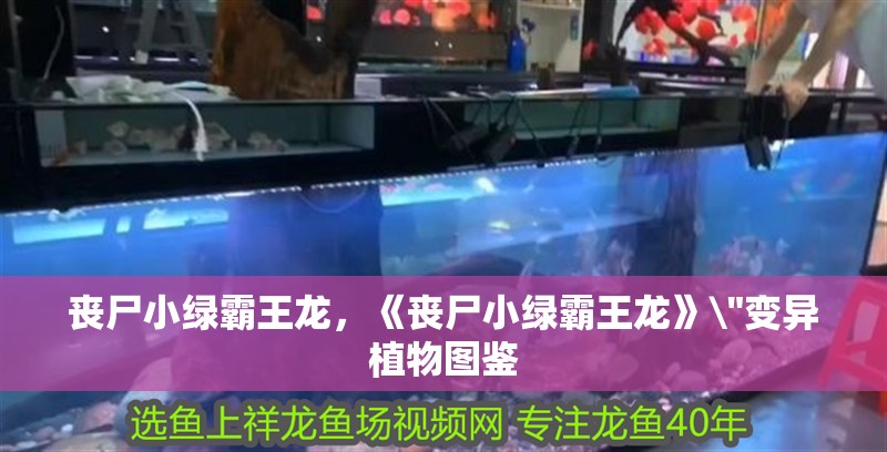 喪尸小綠霸王龍，《喪尸小綠霸王龍》\