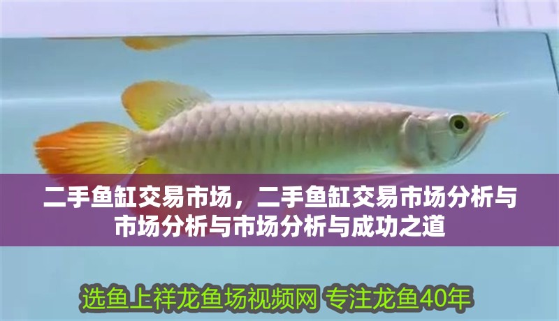 二手魚缸交易市場，二手魚缸交易市場分析與市場分析與市場分析與成功之道